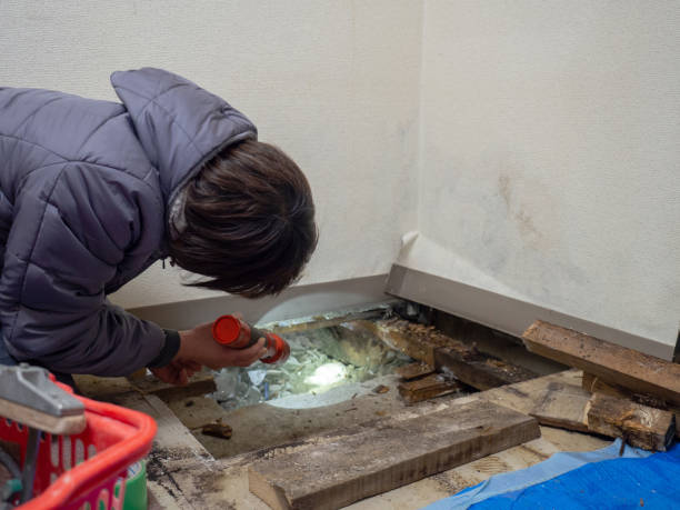 Forensic Mold Investigation in Long Branch, NJ