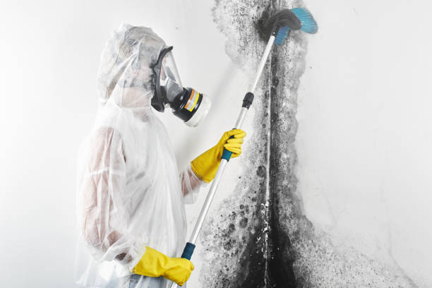 Best Asbestos and Lead Testing During Mold Inspection  in Long Branch, NJ