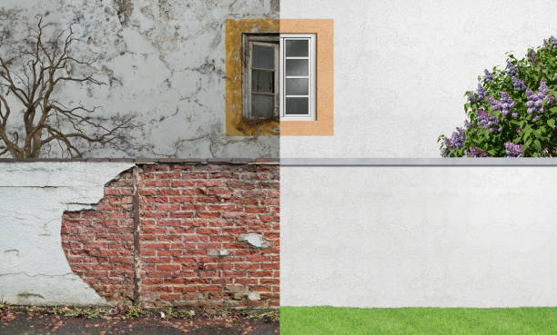 Best Mold Damage Restoration  in Long Branch, NJ