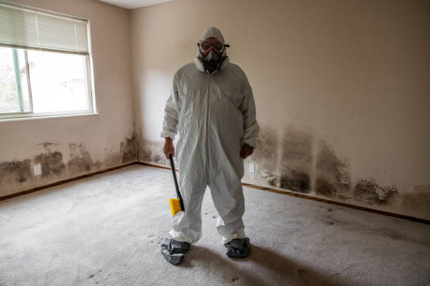 Best Attic Mold Removal  in Long Branch, NJ